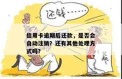 信用卡逾期后还款，是否会自动注销？还有其他处理方式吗？