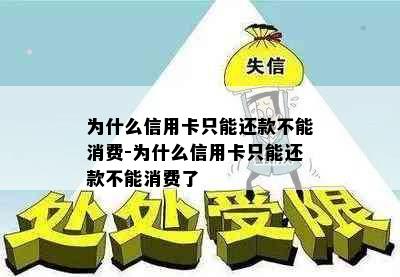 为什么信用卡只能还款不能消费-为什么信用卡只能还款不能消费了