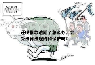 还呗借款逾期了怎么办，会受法律法规约和保护吗？