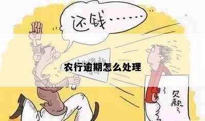 农行逾期怎么处理