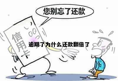 逾期了为什么还款翻倍了