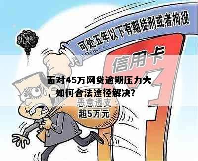 面对45万网贷逾期压力大，如何合法途径解决？