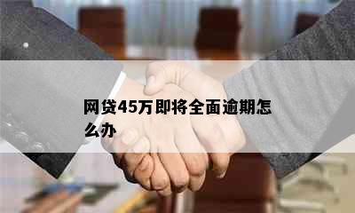 网贷45万即将全面逾期怎么办