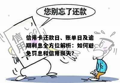 信用卡还款日、账单日及逾期利息全方位解析：如何避免罚息和信用损失？