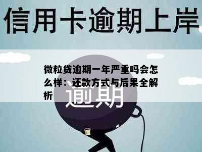 微粒贷逾期一年严重吗会怎么样：还款方式与后果全解析