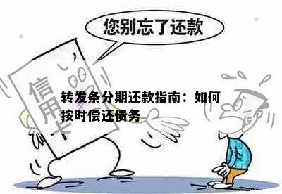 转发条分期还款指南：如何按时偿还债务