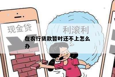 在农行货款暂时还不上怎么办