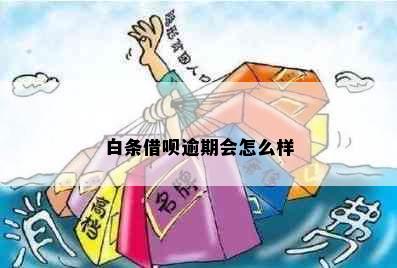 白条借呗逾期会怎么样