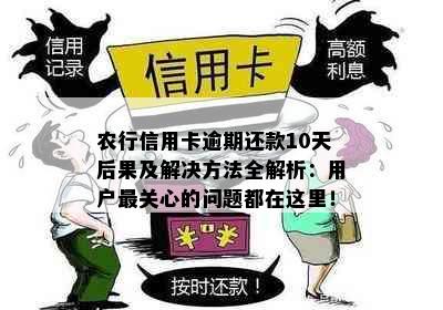 农行信用卡逾期还款10天后果及解决方法全解析：用户最关心的问题都在这里！