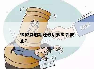 微粒贷逾期还款后多久会被止？