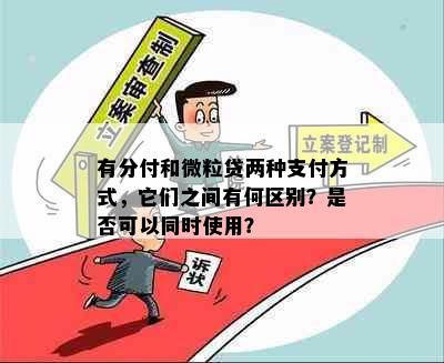 有分付和微粒贷两种支付方式，它们之间有何区别？是否可以同时使用？