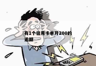 有1个信用卡单月200的逾期