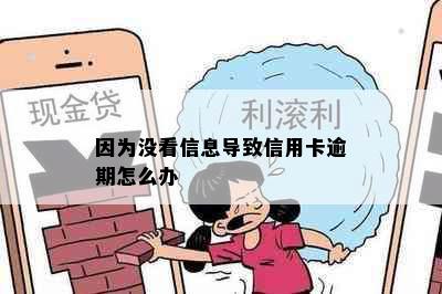 因为没看信息导致信用卡逾期怎么办