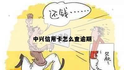 中兴信用卡怎么查逾期