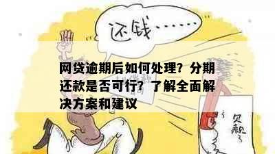 网贷逾期后如何处理？分期还款是否可行？了解全面解决方案和建议