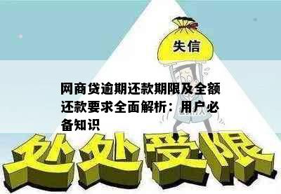 网商贷逾期还款期限及全额还款要求全面解析：用户必备知识