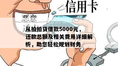 从拍拍贷借款5000元，还款总额及相关费用详细解析，助您轻松规划财务