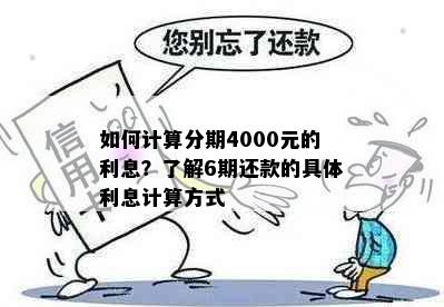 如何计算分期4000元的利息？了解6期还款的具体利息计算方式