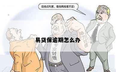 易贷保逾期怎么办