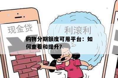 购物分期额度可用平台：如何查看和提升？