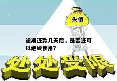 逾期还款几天后，是否还可以继续使用？