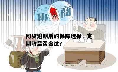 网贷逾期后的保障选择：定期险是否合适？