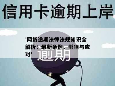 '网贷逾期法律法规知识全解析：最新条例、影响与应对'