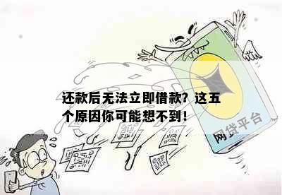 还款后无法立即借款？这五个原因你可能想不到！