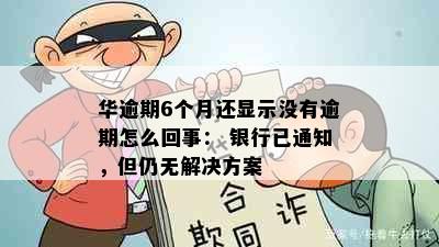 华逾期6个月还显示没有逾期怎么回事： 银行已通知，但仍无解决方案