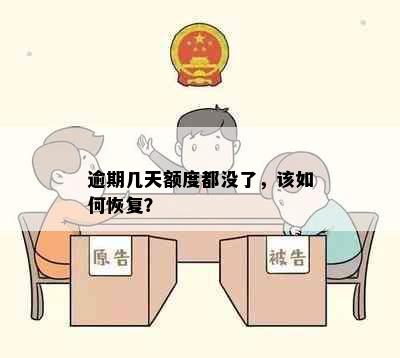 逾期几天额度都没了，该如何恢复？