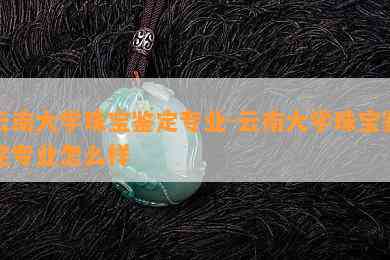 云南大学珠宝鉴定专业-云南大学珠宝鉴定专业怎么样