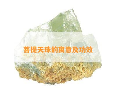 菩提天珠的寓意及功效_翡翠专题_翡翠频道