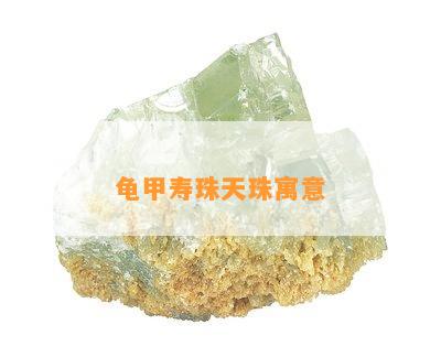 龟甲寿珠天珠寓意_翡翠专题_翡翠频道