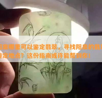 阳泉哪里可以鉴定翡翠，寻找阳泉的翡翠鉴定地点？这份指南或许能帮到你！