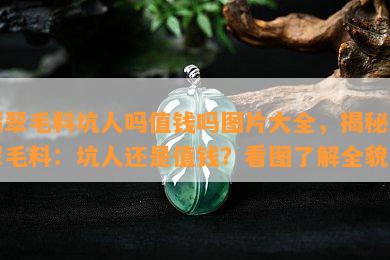 翡翠毛料坑人吗值钱吗图片大全，揭秘翡翠毛料：坑人还是值钱？看图了解全貌！