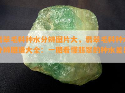 翡翠毛料种水分辨图片大，翡翠毛料种水分辨图谱大全：一图看懂翡翠的种水差异！