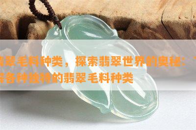 翡翠毛料种类，探索翡翠世界的奥秘：了解各种独特的翡翠毛料种类