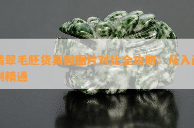 翡翠毛胚货真假图片对比全攻略：从入门到精通