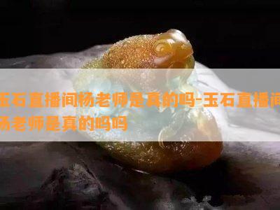 玉石直播间杨老师是真的吗-玉石直播间杨老师是真的吗吗