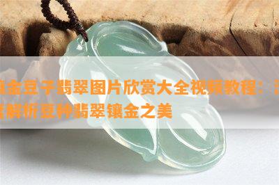 镶金豆子翡翠图片欣赏大全视频教程：深度解析豆种翡翠镶金之美