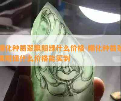 糯化种翡翠飘阳绿什么价格-糯化种翡翠飘阳绿什么价格能买到