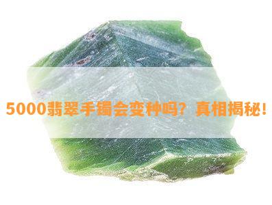 5000翡翠手镯会变种吗？真相揭秘！