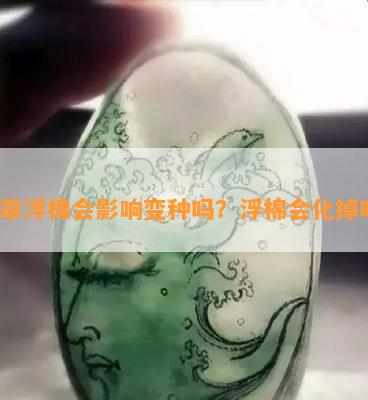 翡翠浮棉会影响变种吗？浮棉会化掉吗？