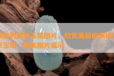 满绿的翡翠玉镯图片，欣赏美丽的满绿翡翠玉镯：精美图片展示