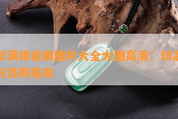 翡翠满绿貔貅图片大全大图高清：珍品鉴赏与选购指南