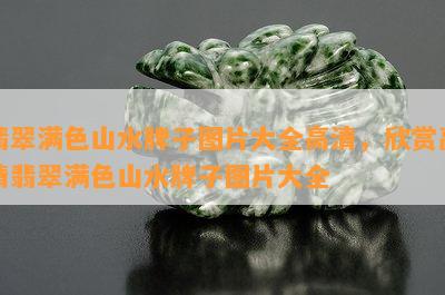 翡翠满色山水牌子图片大全高清，欣赏高清翡翠满色山水牌子图片大全