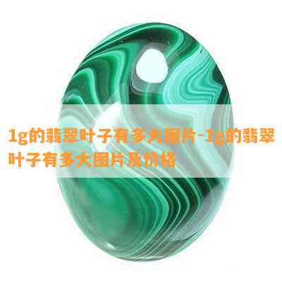 1g的翡翠叶子有多大图片-1g的翡翠叶子有多大图片及价格