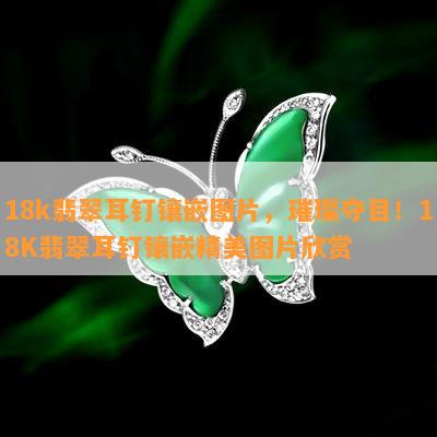 18k翡翠耳钉镶嵌图片，璀璨夺目！18K翡翠耳钉镶嵌精美图片欣赏