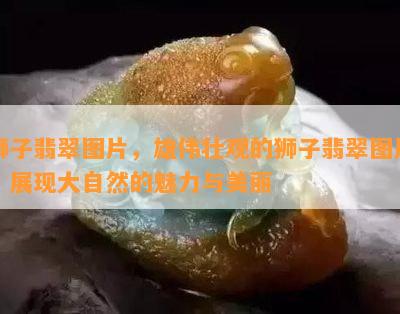 狮子翡翠图片，雄伟壮观的狮子翡翠图片，展现大自然的魅力与美丽