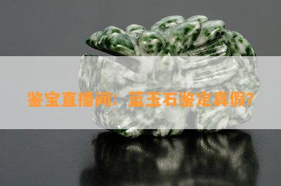 鉴宝直播间：蓝玉石鉴定真假？